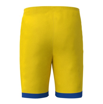 Новая Футбольная форма Украина Зинченко 17 (Ukraine Zinchenko 17) 2025-2026 игровая/повседневная 16268403 цвет: желтый