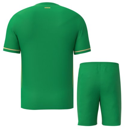 Новая Вратарская футбольная форма Украина 2025-2026 игровая/повседневная 16269807 цвет: зеленый