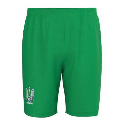Новая Вратарская футбольная форма Украина Лунин 1 (Ukraine Lunin 1) 2025-2026 игровая/повседневная 16270307 цвет: зеленый
