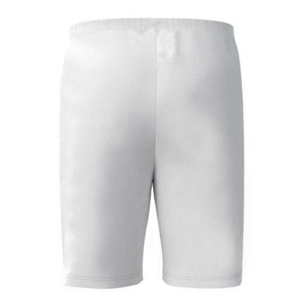 Новая Футбольная форма Santos (Сантос) 2025-2026 игровая/повседневная 16271310 цвет: белый