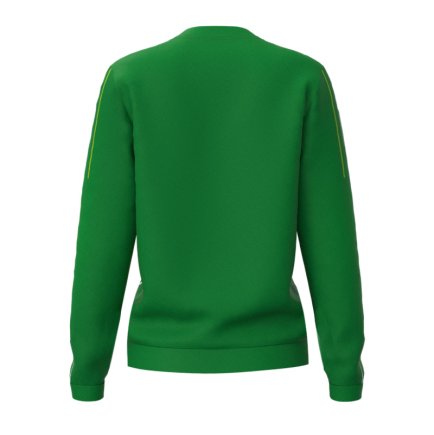 Кофта спортивная SECO Astrada 25317707 женская цвет: зеленый