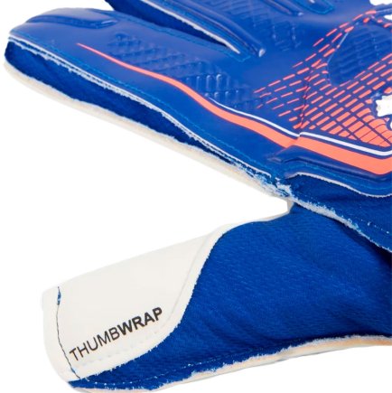 Вратарские перчатки Puma Ultra Play RC 041952-01