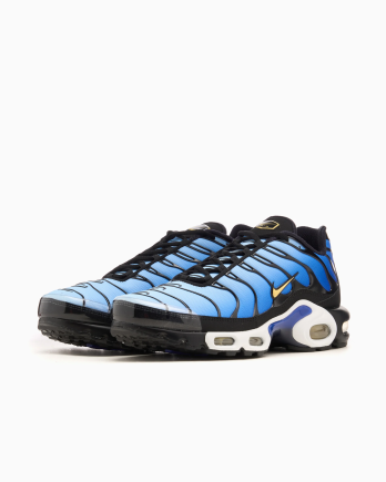 Кроссовки Nike Air Max PLUS OG - Официальная Продукция