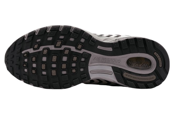 Кроссовки Nike Air Pegasus 2005 - Официальная Продукция