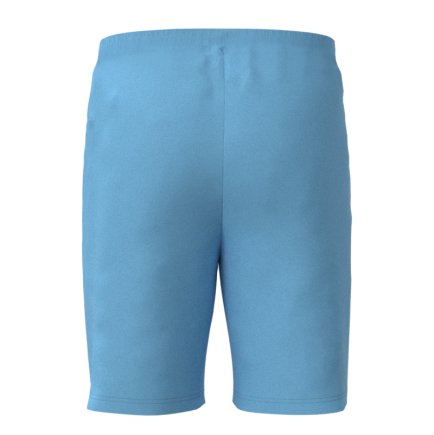 Новая Вратарская футбольная форма Real Madrid (Реал Мадрид) 2024-2025 игровая/повседневная 15228011-1 цвет: голубой