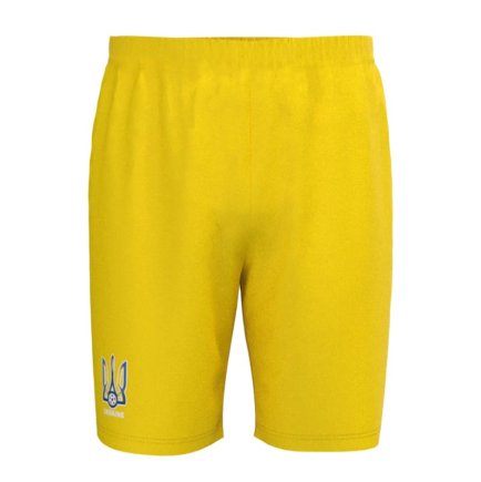 Футбольная форма Украина Зинченко 17 (Ukraine Zinchenko 17) 2024-2025 игровая/повседневная 15224903-1 цвет: желтый