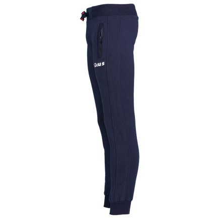 Спортивные штаны Zeus PANT. ZODIACO BLU Z00350 цвет: темно-синий