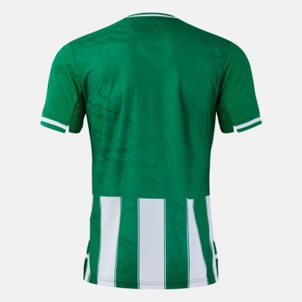 Футболка игровая Joma PREMIER 104594.452 цвет: зеленый/белый