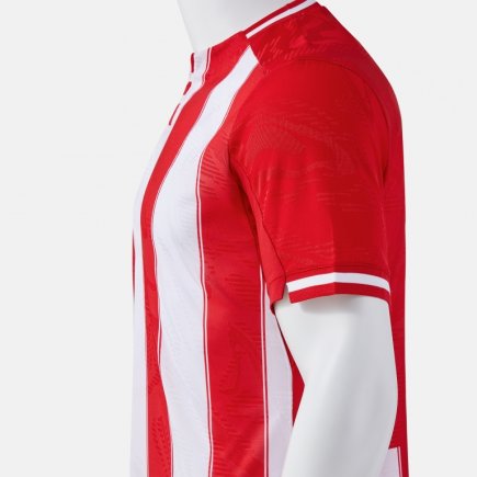 Футболка игровая Joma PREMIER 104594.602 цвет: красный/белый