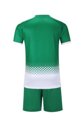 Футбольная форма Europaw № 020 цвет: зеленый/белый