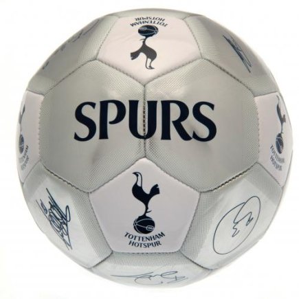 Мяч сувенирный Тоттенхэм Tottenham Hotspur F.C. размер 5