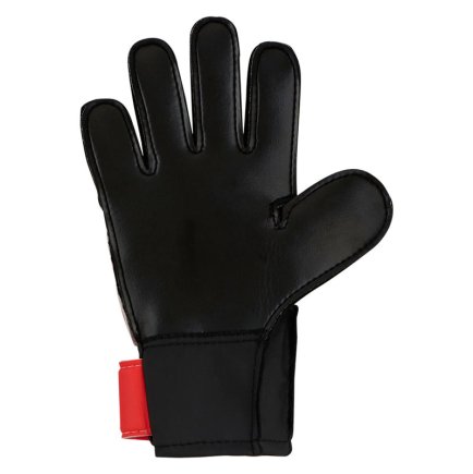 Вратарские перчатки Nike Junior Match Goalkeeper GS0368-657