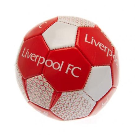 М'яч сувенірний Ліверпуль F.C. Liverpool Skill Ball VT