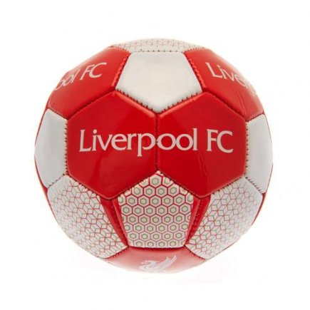 Мяч сувенирный Ливерпуль F.C. Liverpool Skill Ball VT