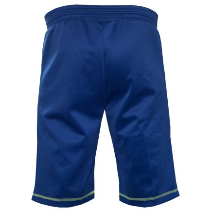 Бриджи тренировочные TITAR Классик цвет: синий