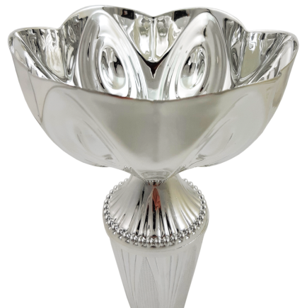Кубок Висота - 24 см срібло