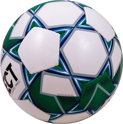 М'яч футбольний Select Campo Pro IMS (015) Розмір 5