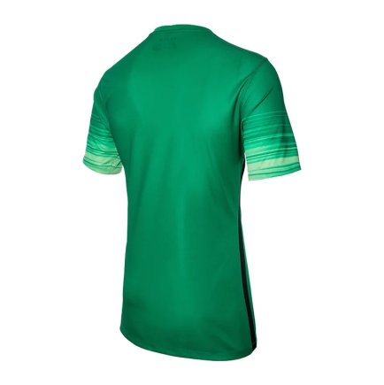 Футболка Nike Club Gen LS GK P Jsy 678165-319 цвет: зеленый