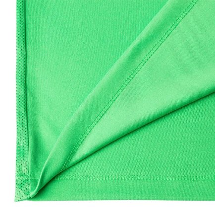 Футболка игровая Nike Park VI 725891-303 цвет: зеленый