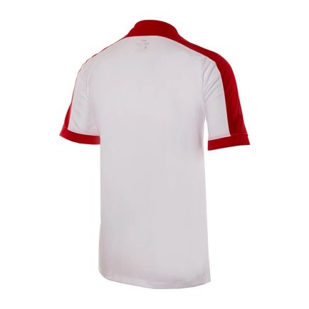 Футболка Nike Striker IV 725892-101 цвет: белый/красный