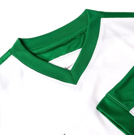 Футболка Nike Striker IV 725892-102 колір: білий/зелений