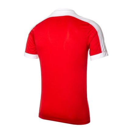 Футболка Nike Striker IV 725892-657 цвет: красный/белый