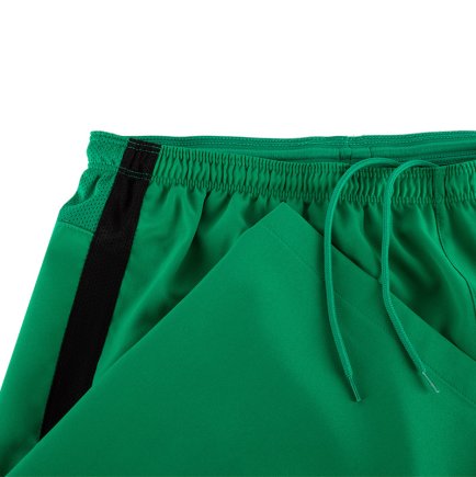 Шорты Nike Club Gen GK P Short 678166-319 цвет: зеленый