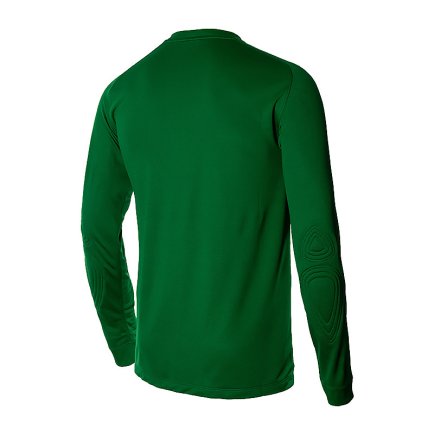 Воротарський светр NIKE Park Goalie II Jersey 588418-302 колір: зелений