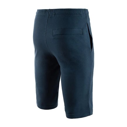 Шорты Nike Crusader Jersey Shorts In Navy 804419-464 цвет: серый