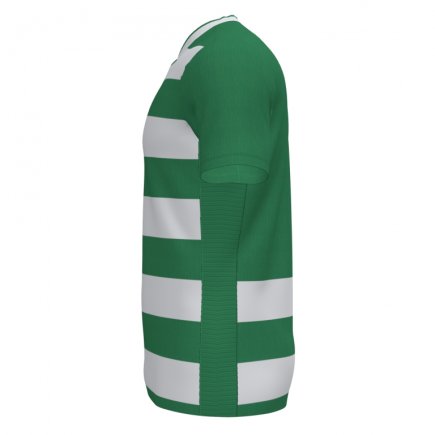 Футболка Joma Europa IV 101466.452 колір: зелений/білий