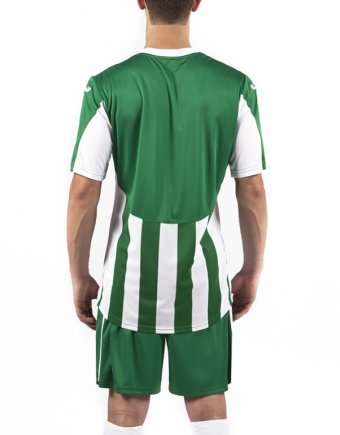 Футболка ігрова Joma COPA 100001.450 зелено-біла