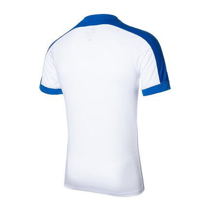 Футболка Nike Striker IV 725892-100 колір: білий/синій