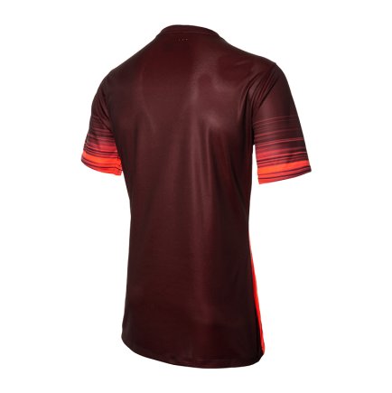 Футболка Nike CLUB GEN LS GK P JSY 678165-634 колір: бордовий/червоний