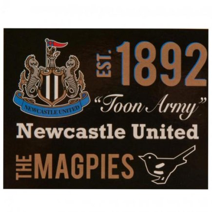 Одеяло флисовое Ньюкасл Юнайтед Newcastle United FC