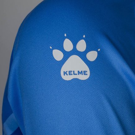 Комплект вратарской формы Kelme Long sleeve goalkeeper suit 3801286.9404 цвет: синий