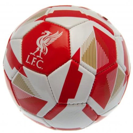 М'яч сувенірний Ліверпуль Liverpool F.C. розмір 1