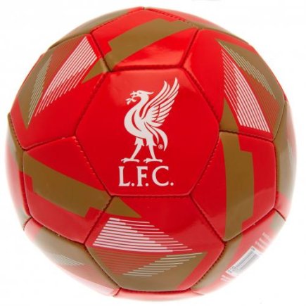 М'яч сувенірний Liverpool F.C Football RX Ліверпуль розмір 5