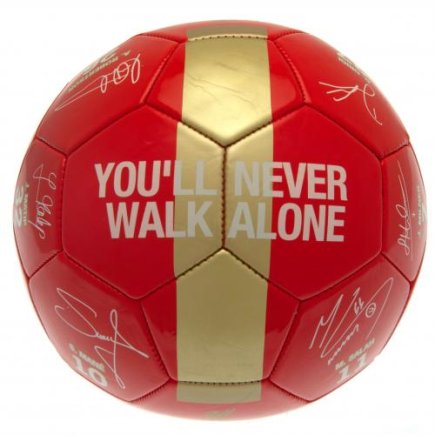 Мяч сувенирный Ливерпуль Liverpool FC Premier League Champions Football Signature RG размер 5
