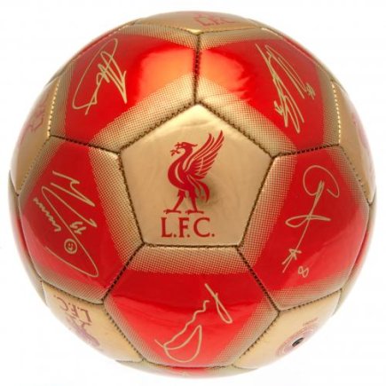 М'яч сувенірний Ліверпуль Liverpool FC Signature розмір 5