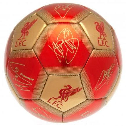 М'яч сувенірний Ліверпуль Liverpool FC Signature розмір 5