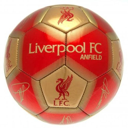 М'яч сувенірний Ліверпуль Liverpool FC Signature розмір 5