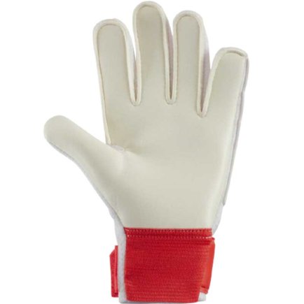 Вратарские перчатки Nike Jr. Goalkeeper Match CQ7795-635