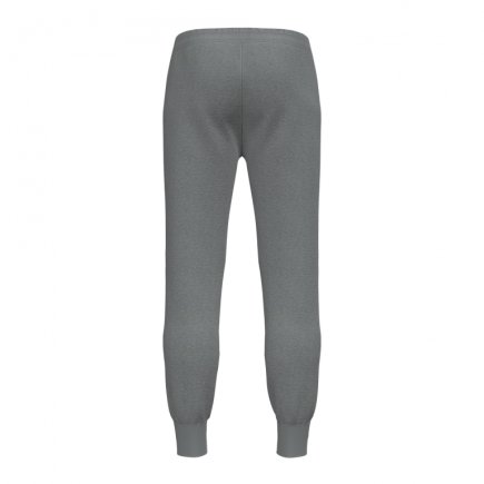 Спортивные штаны Joma CHAMELEON 102110.280 цвет: серый