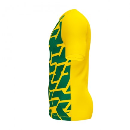 Футболка игровая Joma PERFORMANCE RUGBY 101905.904 цвет: желтый/зеленый