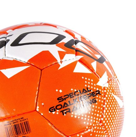 М'яч для тренування воротарів HO SOCCER PENTA 600 2020 600г розмір 5