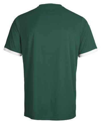 Футболка ігрова Hummel CORE SS POLY JERSEY 103-636-6141 дитяча