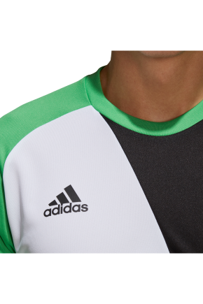 Футболка вратарська Adidas Assita 17 M AZ5400